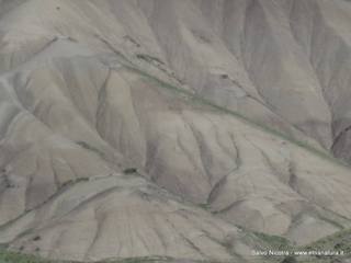 lanchi Cannizzola-03-03-2016 19-54-13